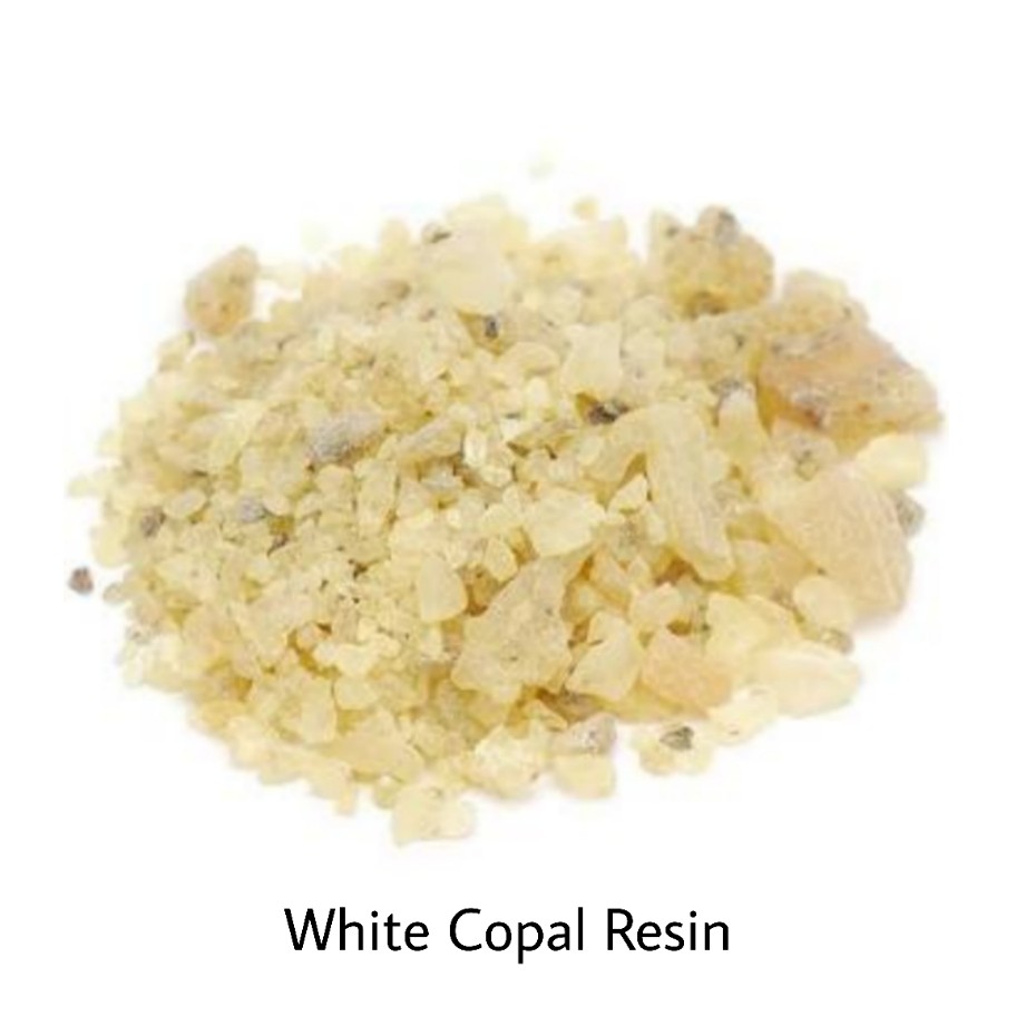 White Copal Resin - Rose Lavender Store